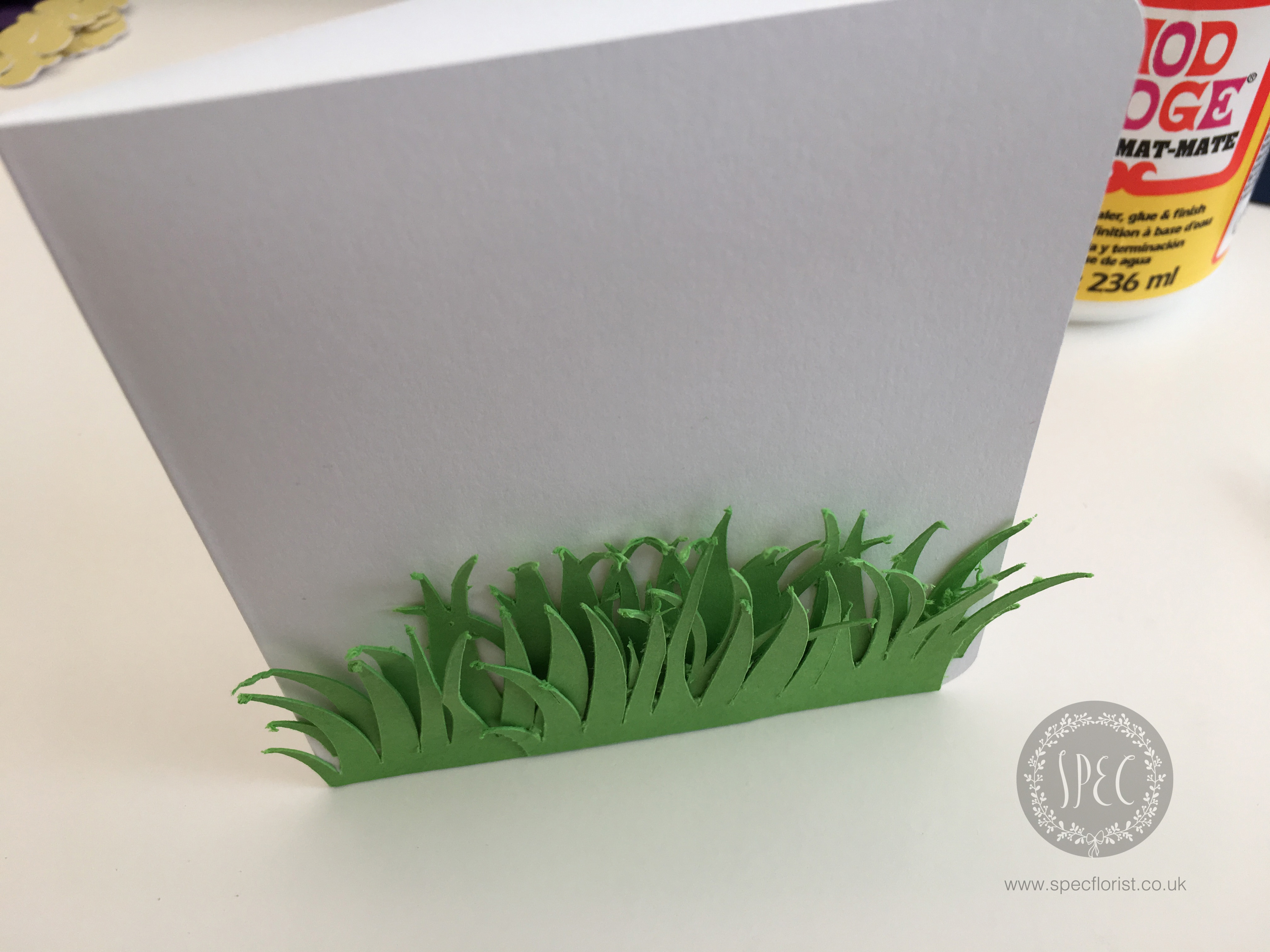 Paper grass