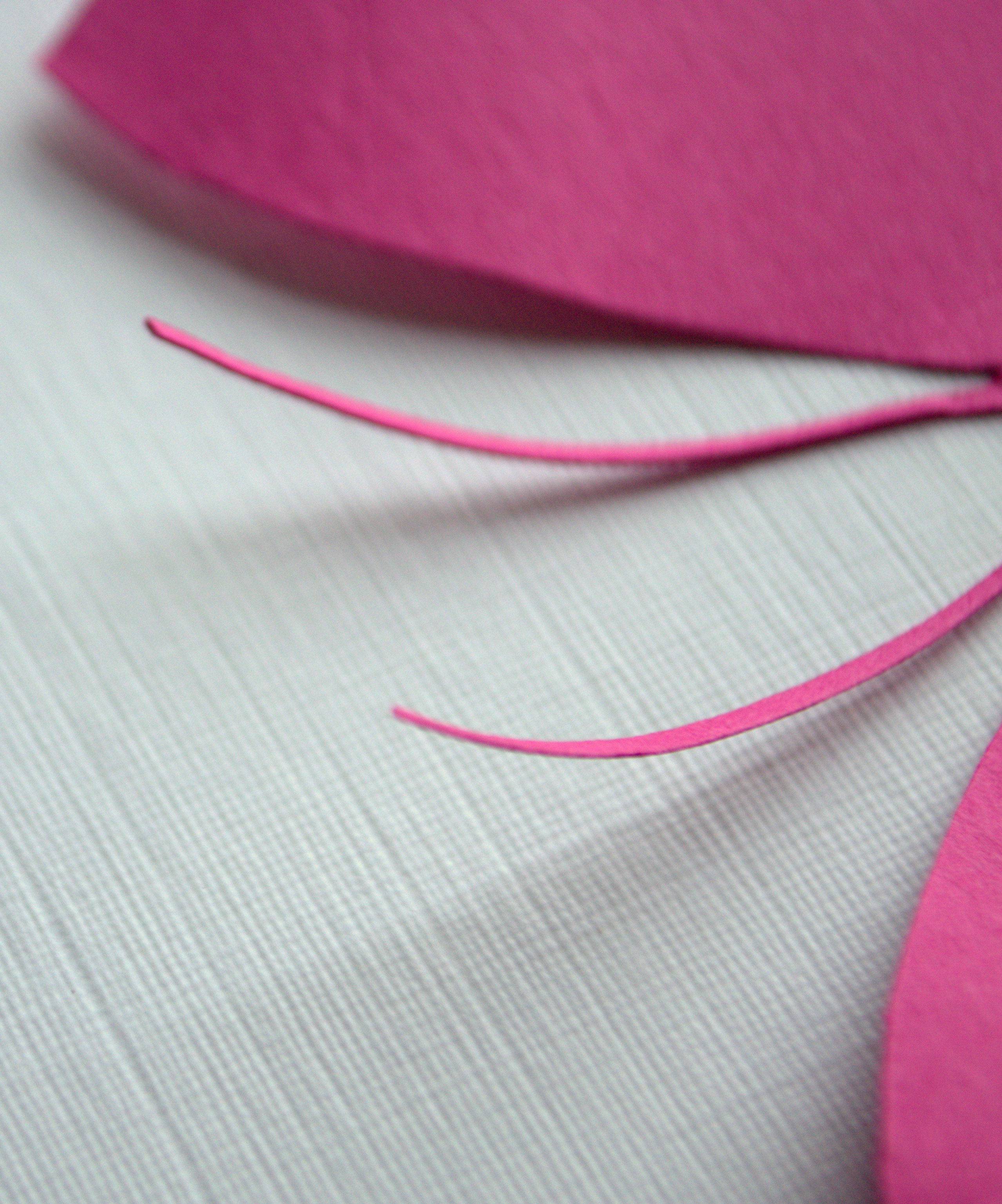 Linen Cardstock: Linen Textured Paper, Embossed