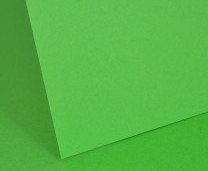 Billiard Green Plain Card