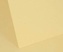 Chamois Plain Card