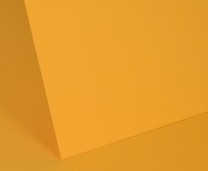 Gold Plain Card