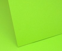 Intensive Green Plain Card