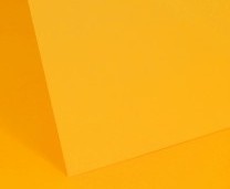 Sunflower Plain Card