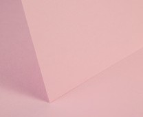 Baby Pink Plain Card - Set Swatch