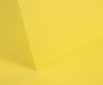 Daffodil Yellow Smooth Card - Set Swatch