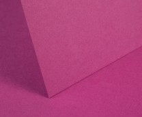 Raspberry Pink Plain Card - Set Swatch