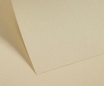 Rich Cream Paper Plain - Set Swatch