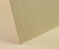 Rich Cream Card Hammered - Set Swatch