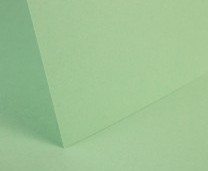 Spring Green Smooth Card - Set Swatch